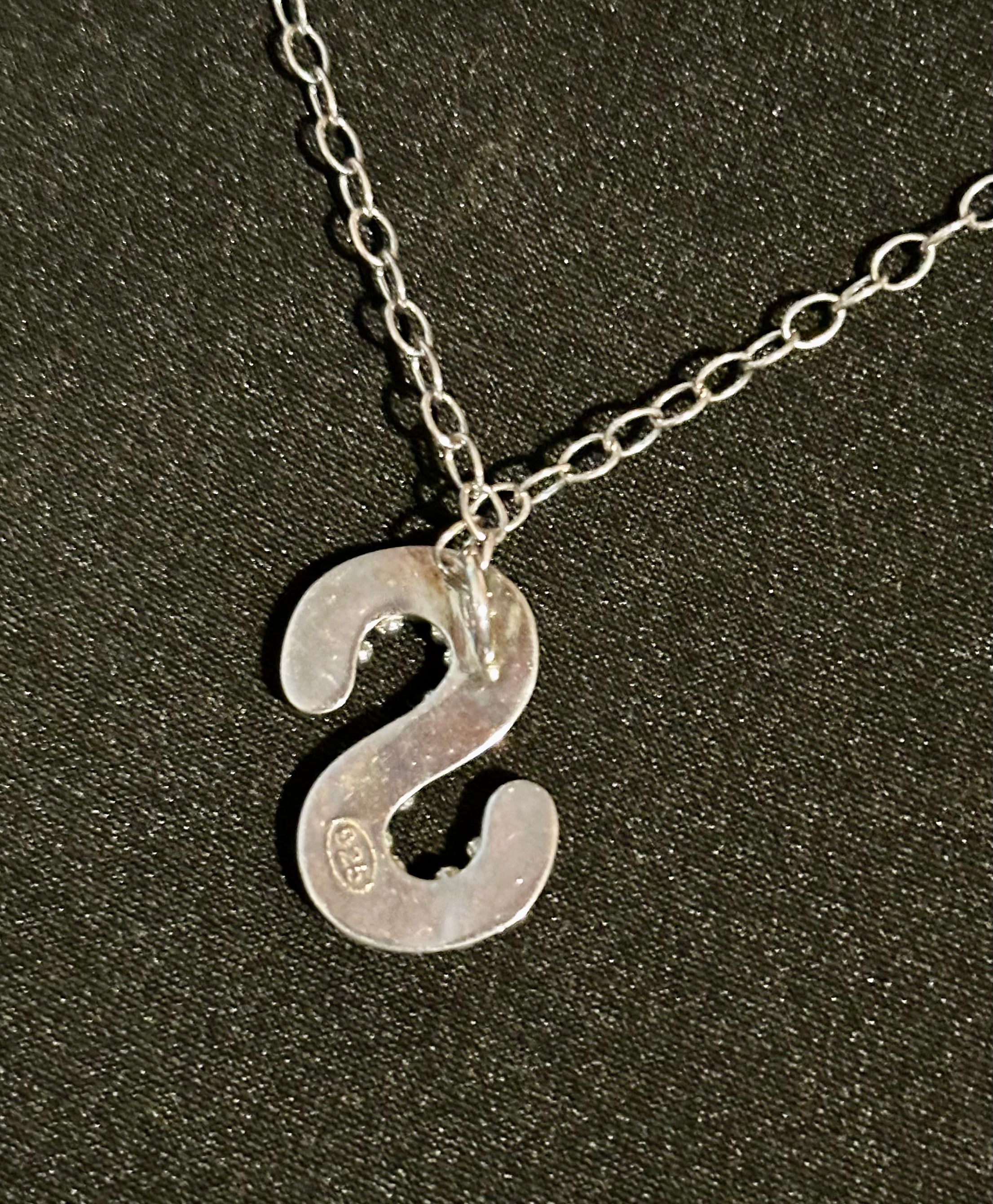 Sterling Silver Turquoise Letter S necklace 18"